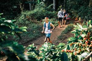 BIB: 
                            <button type="button" onclick="openModal(25847193)" class="btn btn-primary btn-sm float-right btn-popup" data-toggle="modal" data-target=".modal-high-quality">
                        <i class="fas fa-shopping-cart"></i> Add to Cart
                    </button>
                                            <button type="button" onclick="isThisMe(25847193, true)" class="btn btn-success btn-sm float-right btn-popup btn-isme hidden" data-toggle="tooltip" data-placement="bottom" title="นี่คือรูปของคุณใช่ไหม คลิกที่นี่เพื่อเอาเข้าอัลบั้ม">
                        <i class="fas fa-plus"></i> Add to album
                    </button>
                    <button type="button" onclick="isThisMe(25847193, false)" class="btn btn-warning btn-sm float-right btn-popup btn-isnotme hidden">
                        <i class="fas fa-ban"></i> Remove from album
                    </button>